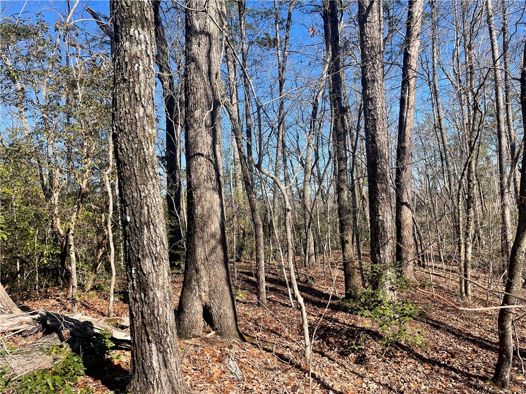 305 Whitewater Lake Road Tamassee, SC 29686 - Photo 5 of 36