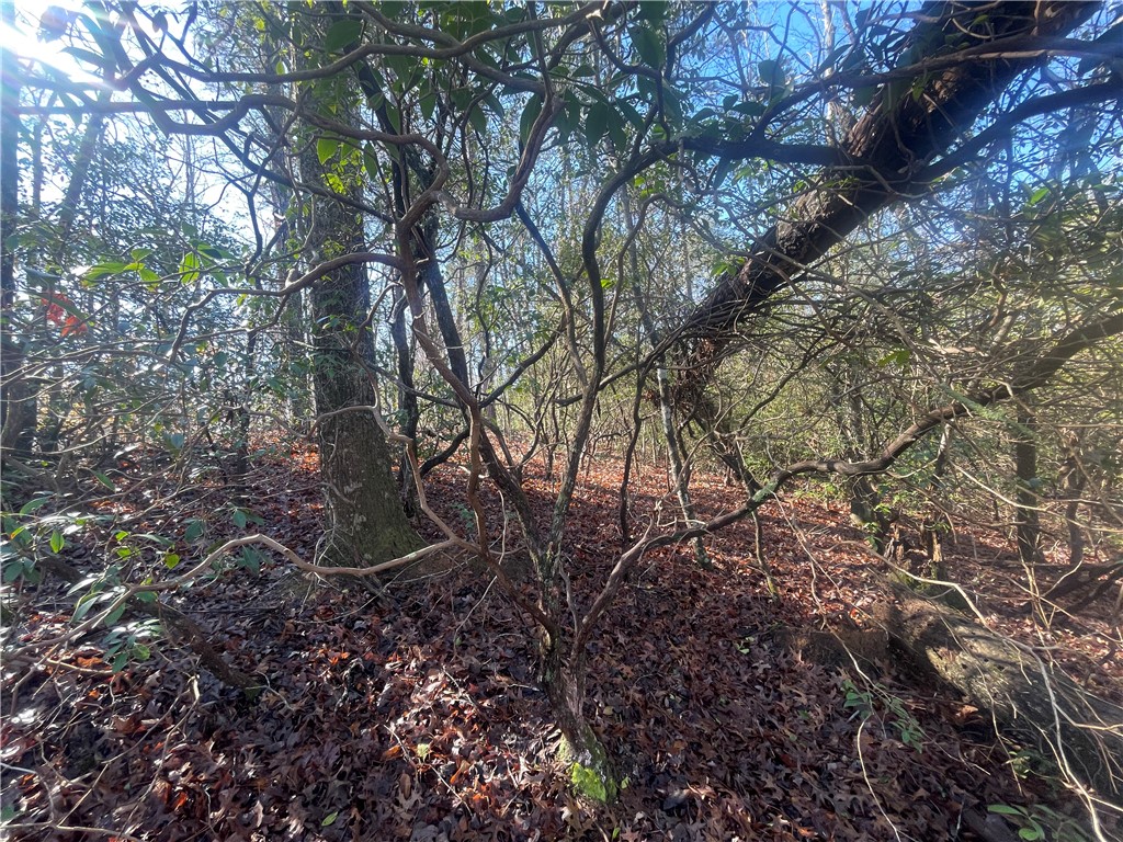 305 Whitewater Lake Road Tamassee, SC 29686 - Photo 6 of 36