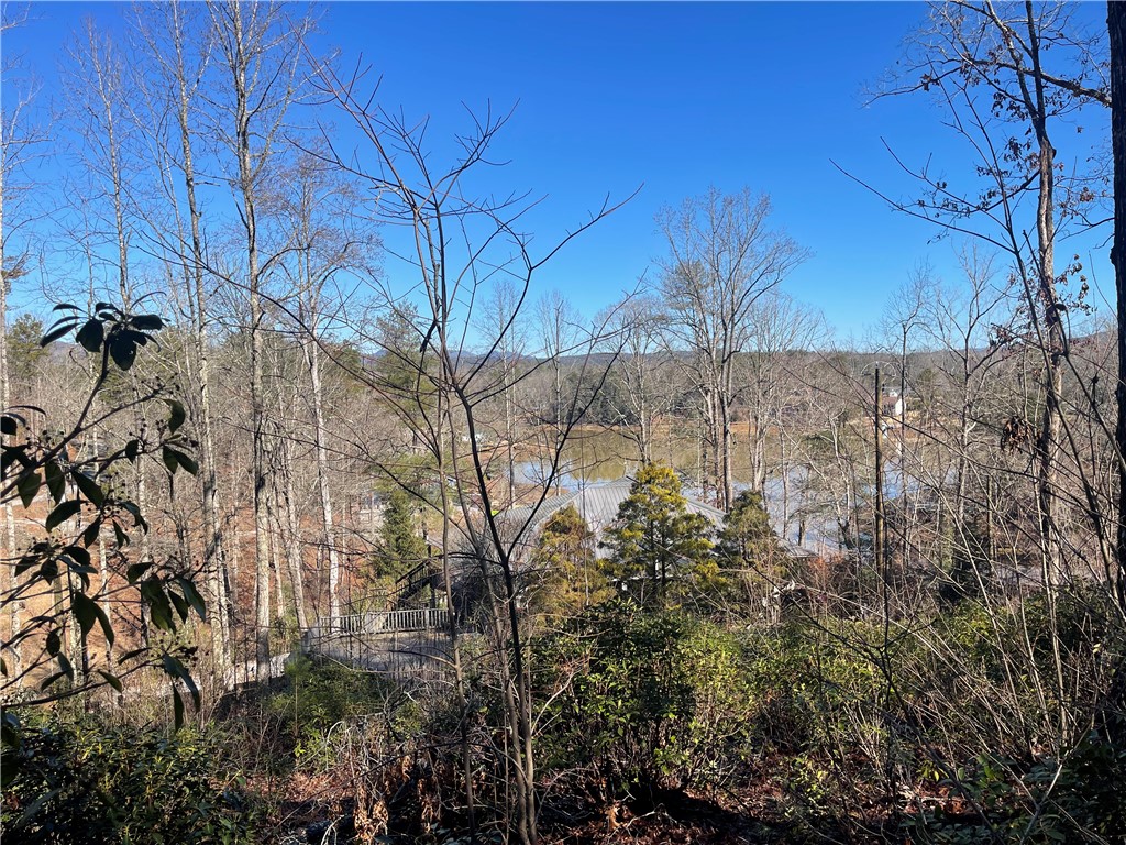 305 Whitewater Lake Road Tamassee, SC 29686 - Photo 8 of 36