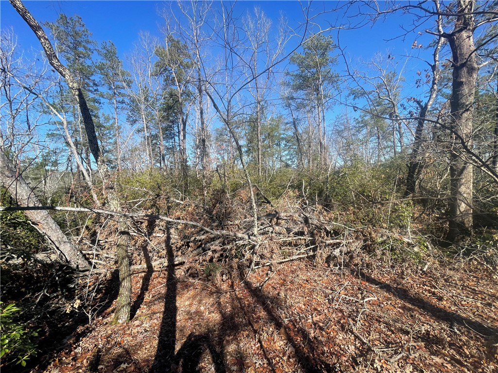 305 Whitewater Lake Road Tamassee, SC 29686 - Photo 9 of 36