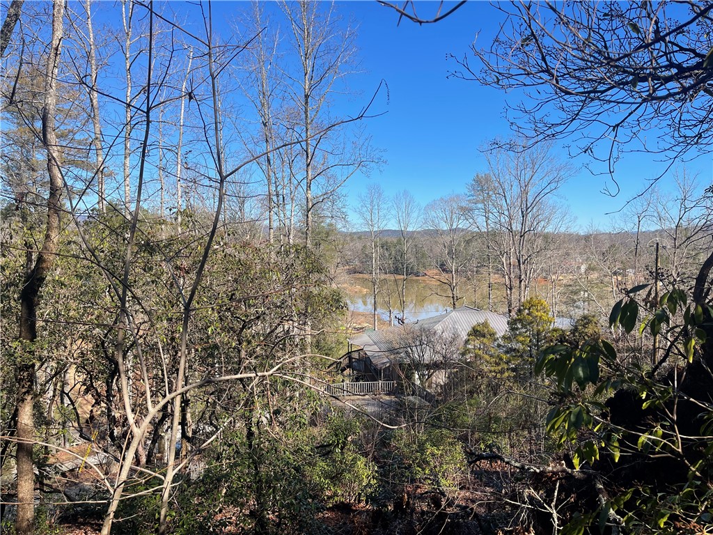 305 Whitewater Lake Road Tamassee, SC 29686 - Photo 10 of 36