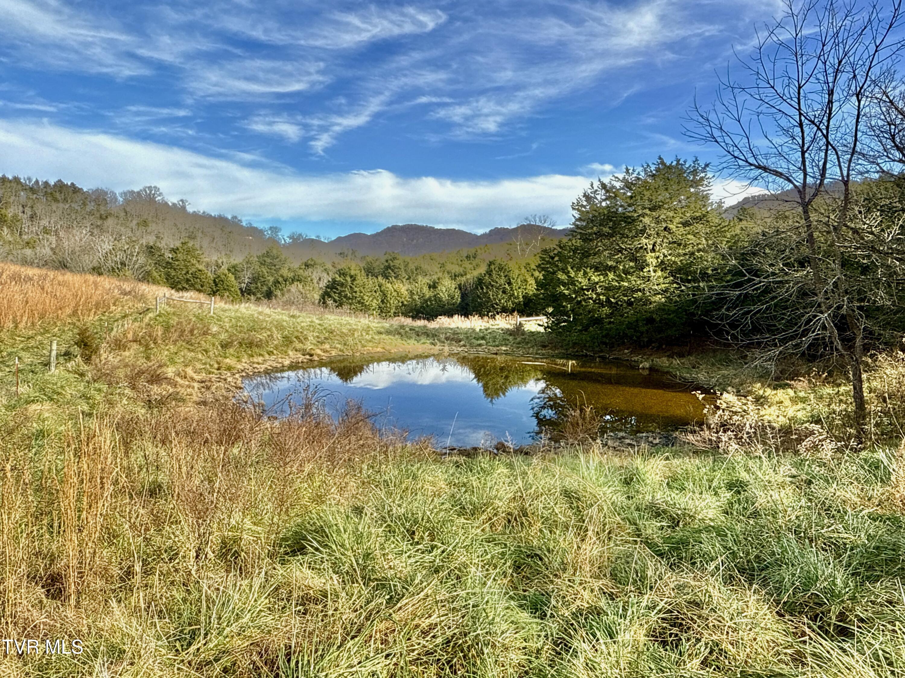 2114 Powell River Road Tazewell, TN 37879 - Photo 88 of 122 _Pic85 (4)