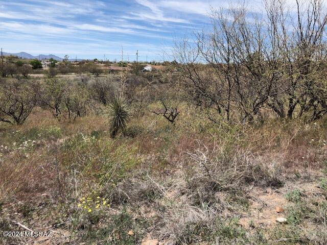 1006 Calle Cumpas, Unit 60 Rio Rico, AZ 85648 - Photo 2 of 3