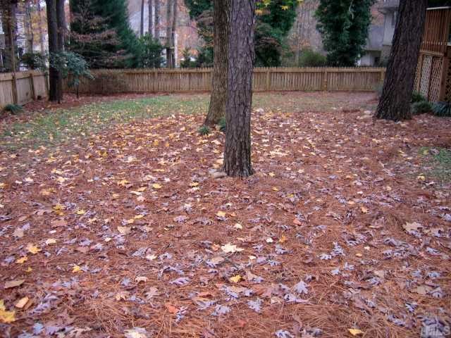 1421 Bridgeport Drive Raleigh, NC 27615 - Photo 10 of 10 a view of backyard with green space
