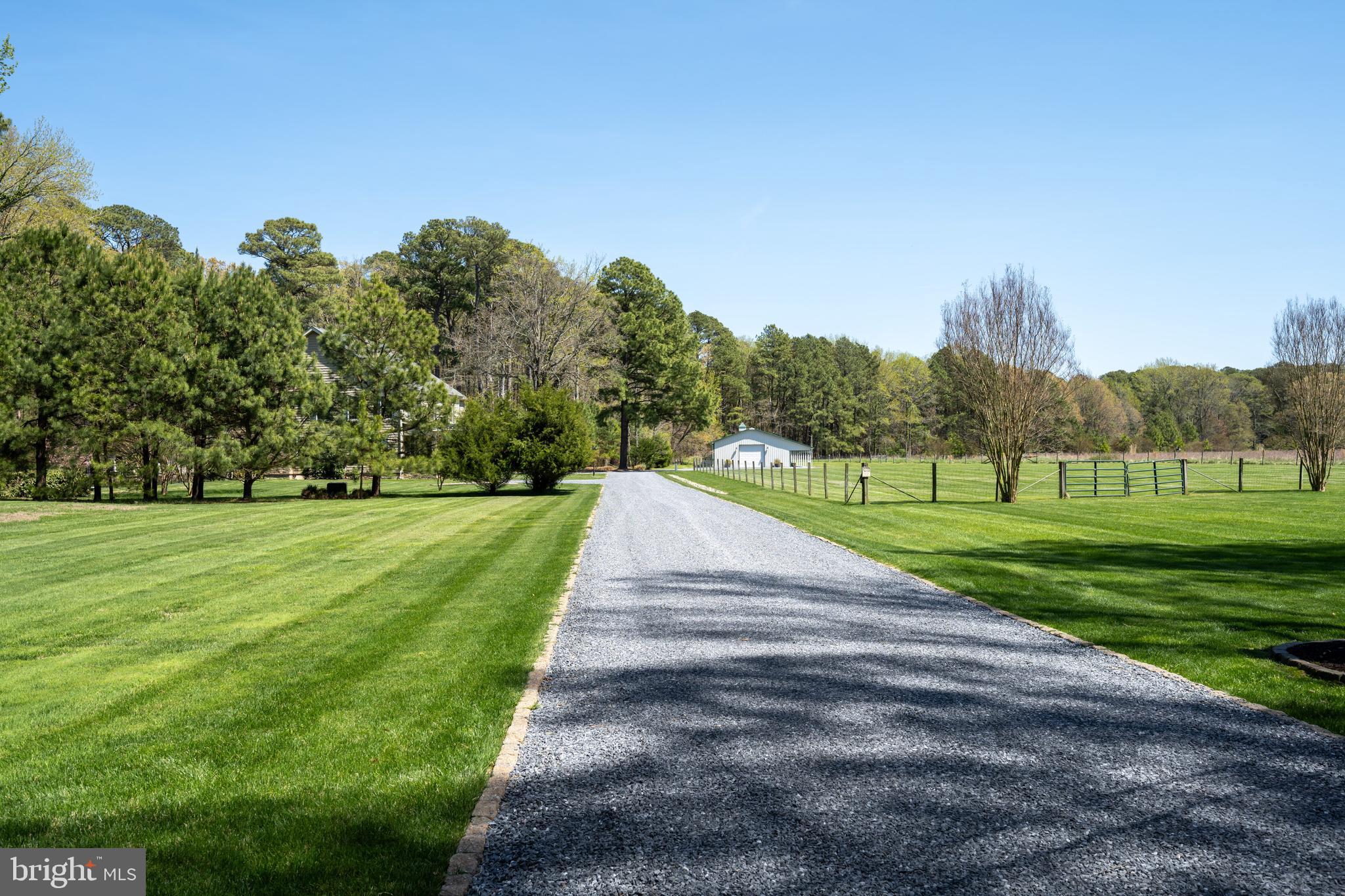 7909 Church Neck Road St. Michaels, MD 21663 - Photo 10 of 50 Drive into Property