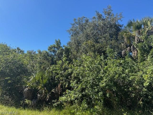 a view of a field of grass and trees