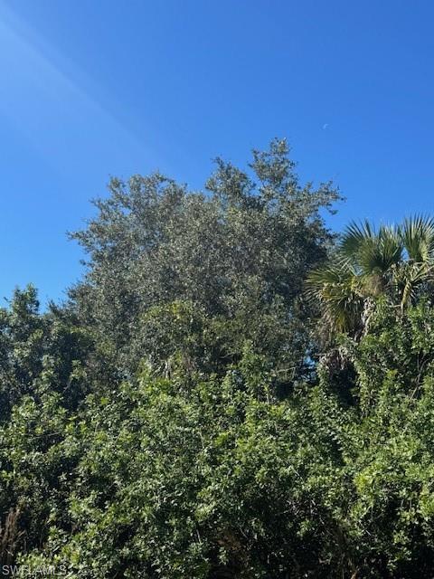 3rd Street Northwest Naples, FL 34120 - Photo 2 of 3 a view of a city with lush green forest