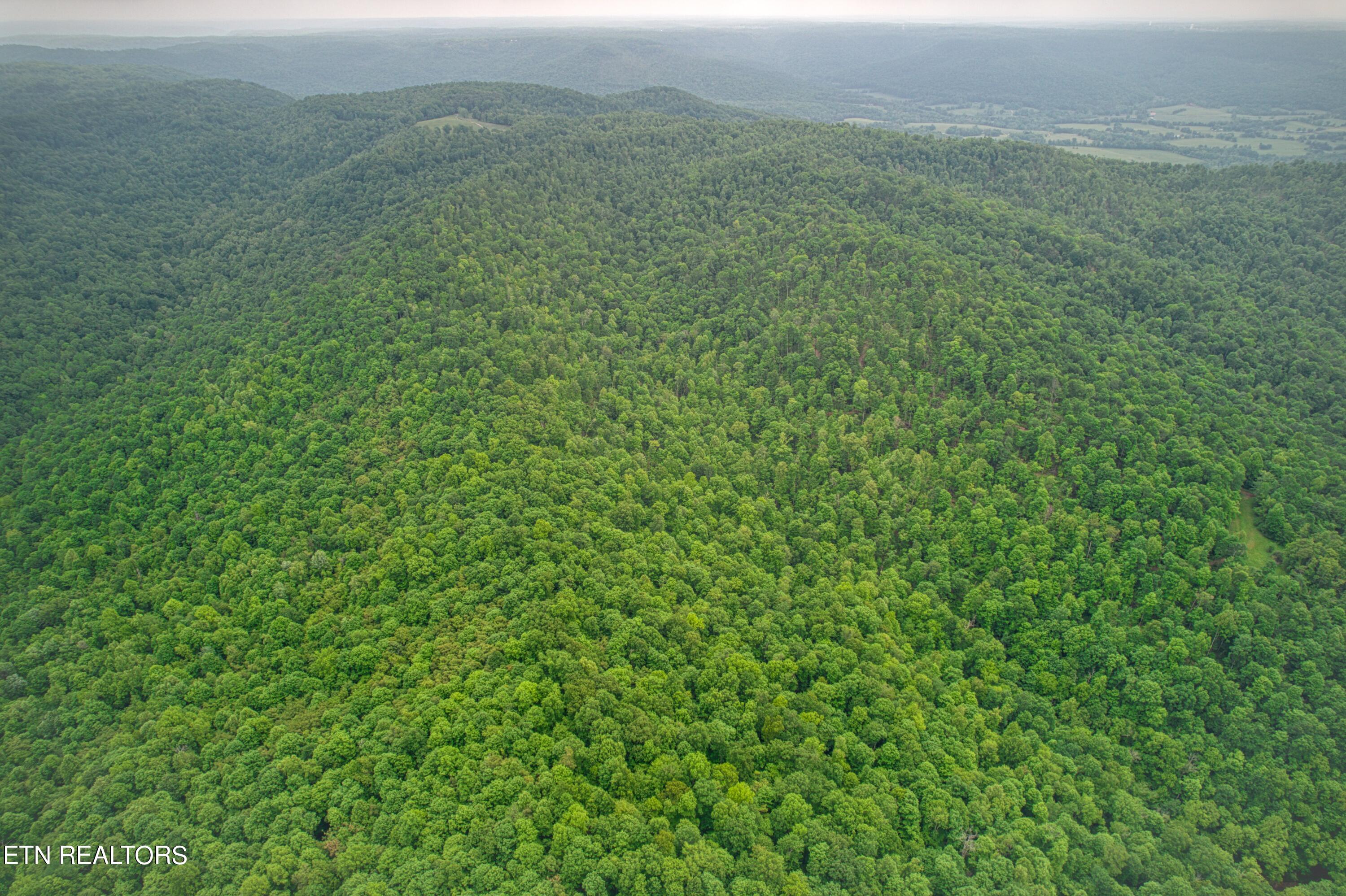 4598 Buzzard Roost Road Jamestown, TN 38556 - Photo 14 of 36 Buzzard Roost_6