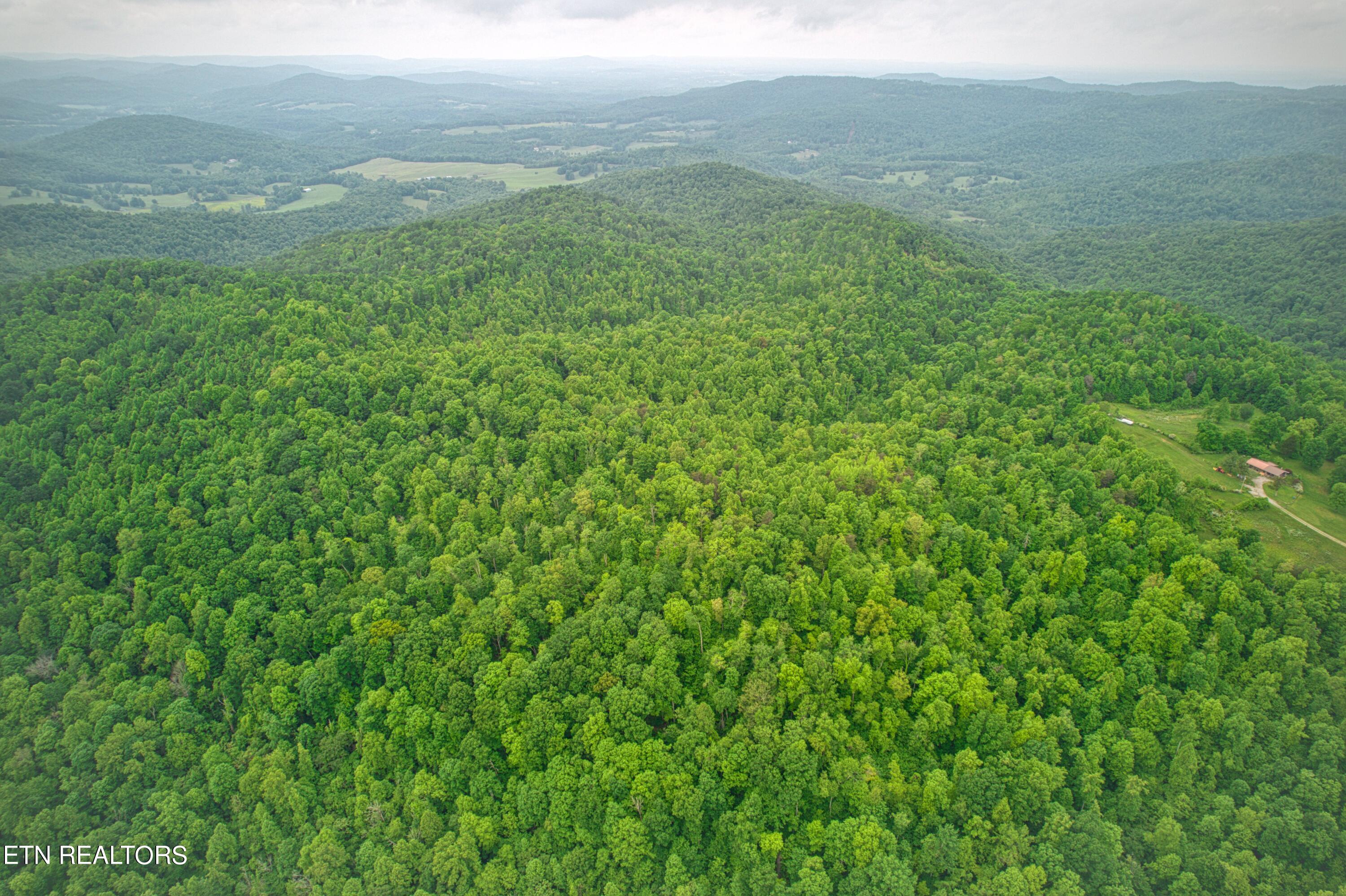 4598 Buzzard Roost Road Jamestown, TN 38556 - Photo 36 of 36 Buzzard Roost_26