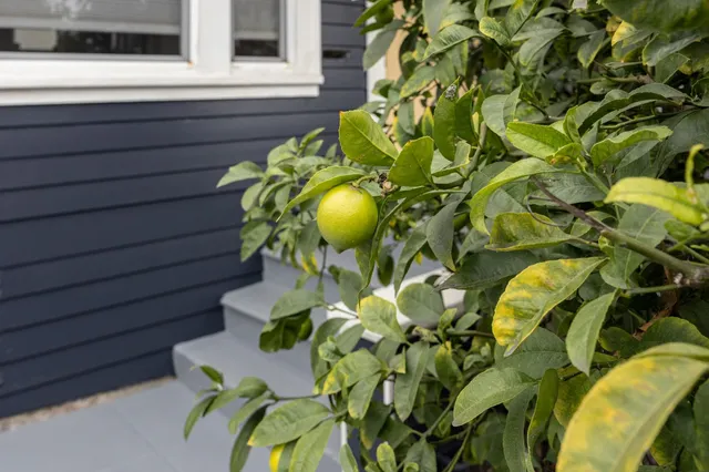 $498,000 | 1538 20th Avenue, Oakland, CA 94606