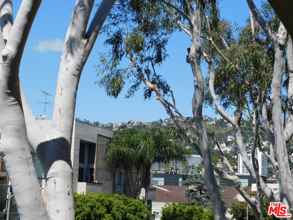 740 North Kings Road, Unit 201 Los Angeles, CA 90069 - Photo 4 of 20 a backyard of a house with lots of green space