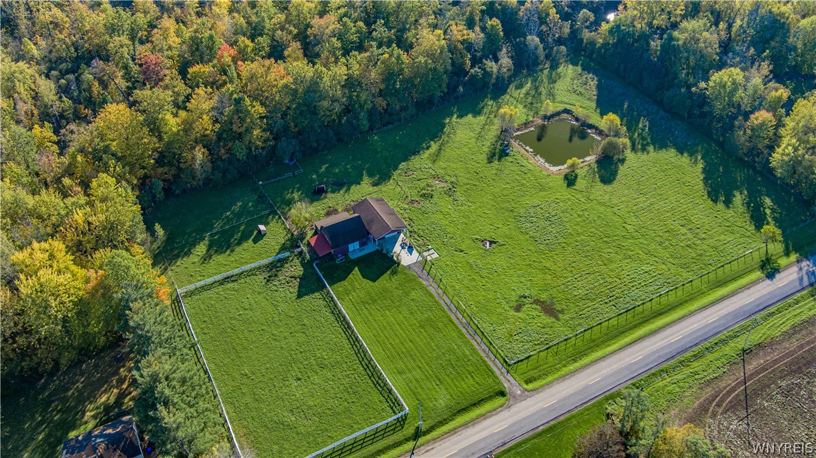 5664 Mc Kee Road Newfane, NY 14108 - Photo 1 of 1 Gallery Image 1