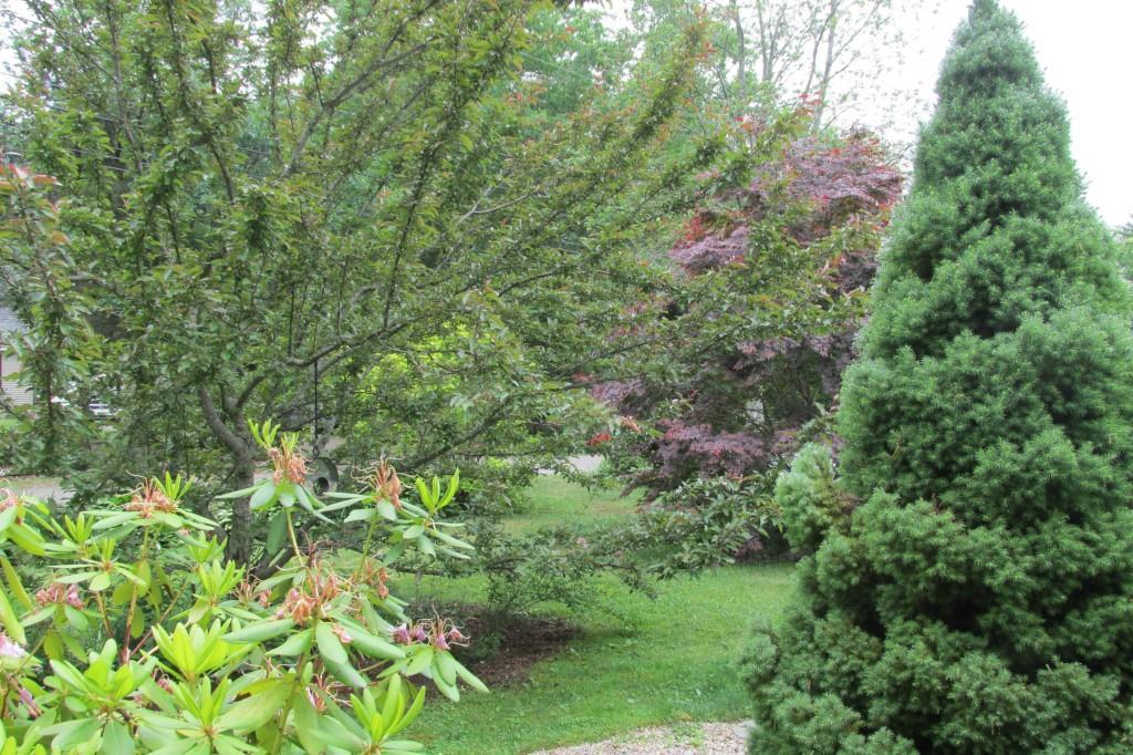 8 County Road Cape Neddick, ME 03902 - Photo 31 of 34 Photo