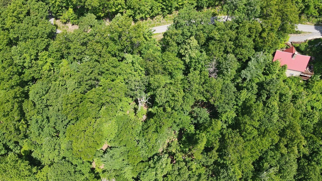 0 Lower Alpine Way Gatlinburg, TN 37738 - Photo 3 of 7