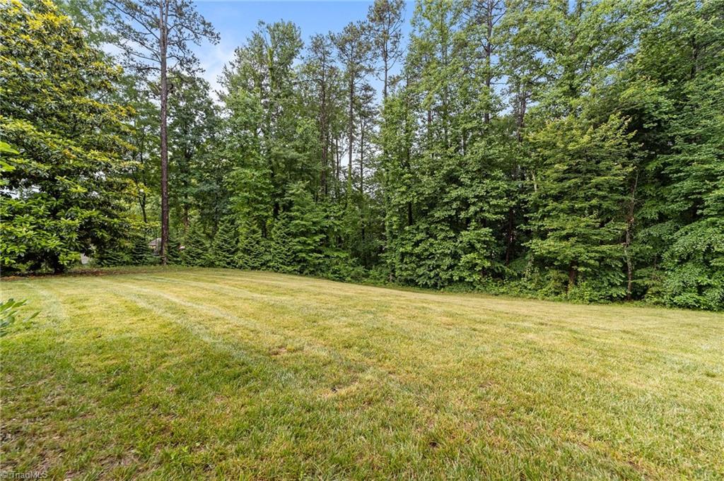 5103 Millstaff Drive Oak Ridge, NC 27310 - Photo 5 of 46 LARGE LUSH LAWN