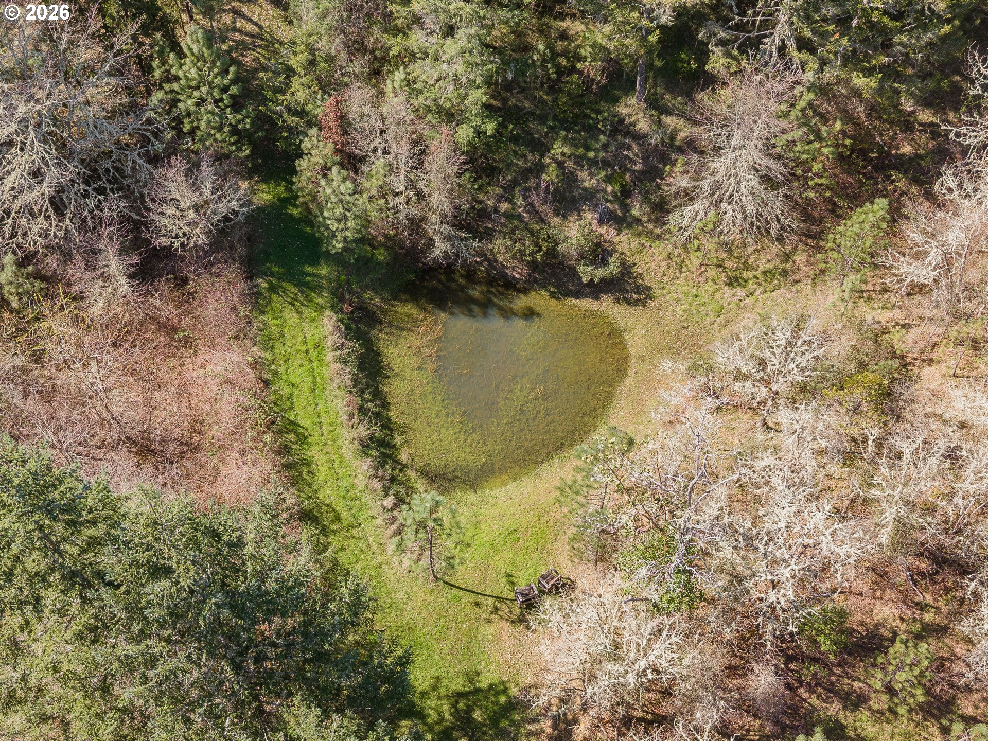 3849 Cole Road Oakland, OR 97462 - Photo 41 of 48