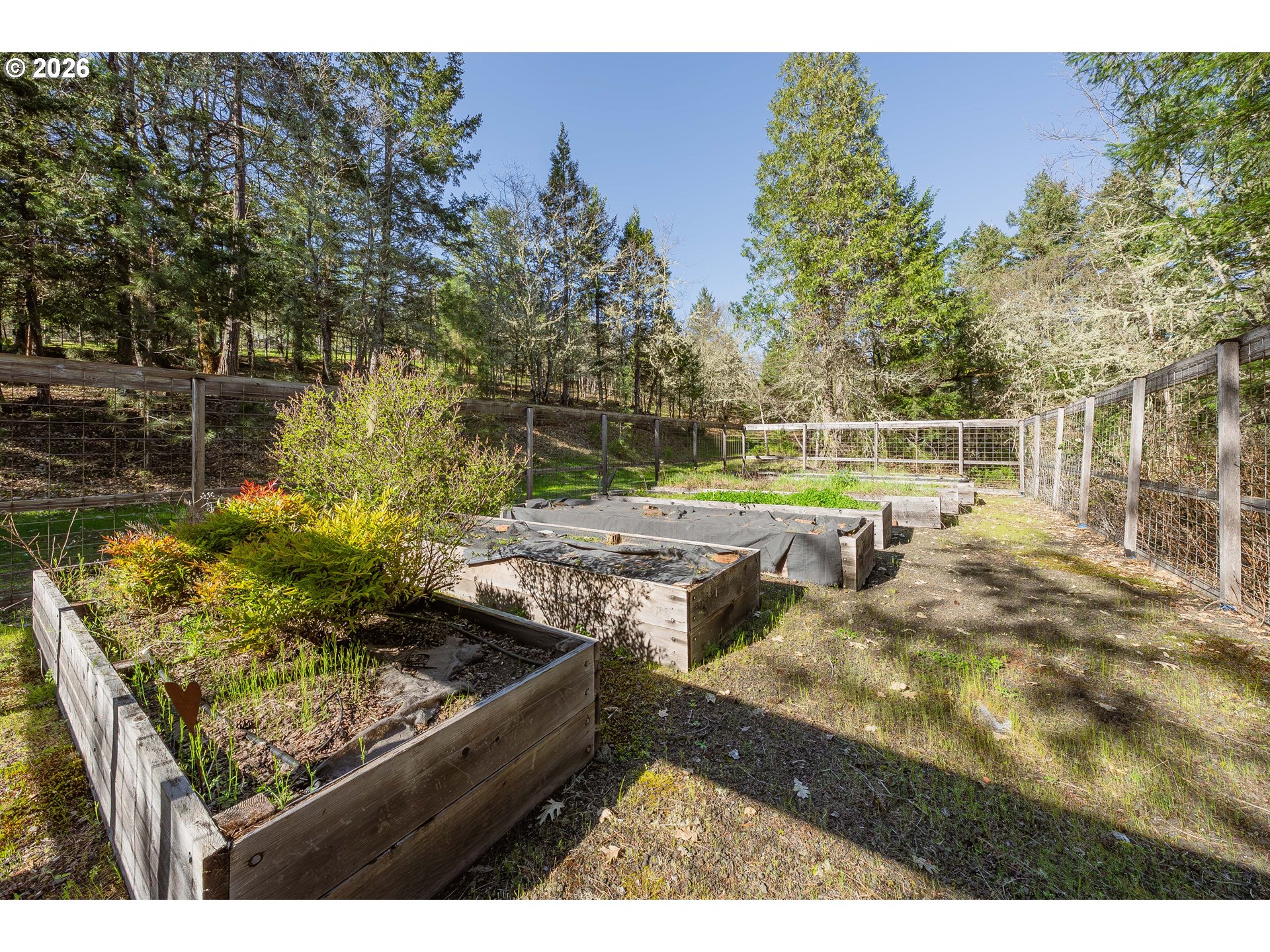 3849 Cole Road Oakland, OR 97462 - Photo 44 of 48