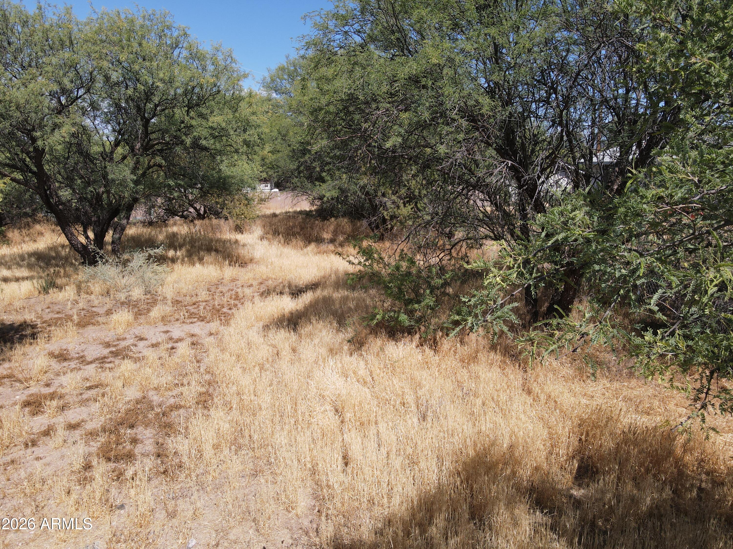 3665 South Salt Mine Road, Unit 27 Camp Verde, AZ 86322 - Photo 8 of 15 a view of a yard with trees