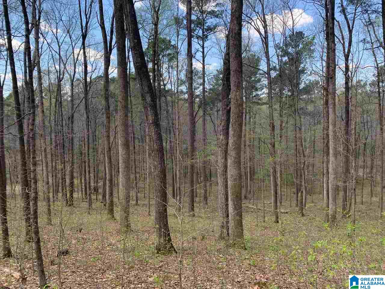 5925 Cahaba Valley Road, Unit 1 Birmingham, AL 35242 - Photo 6 of 21