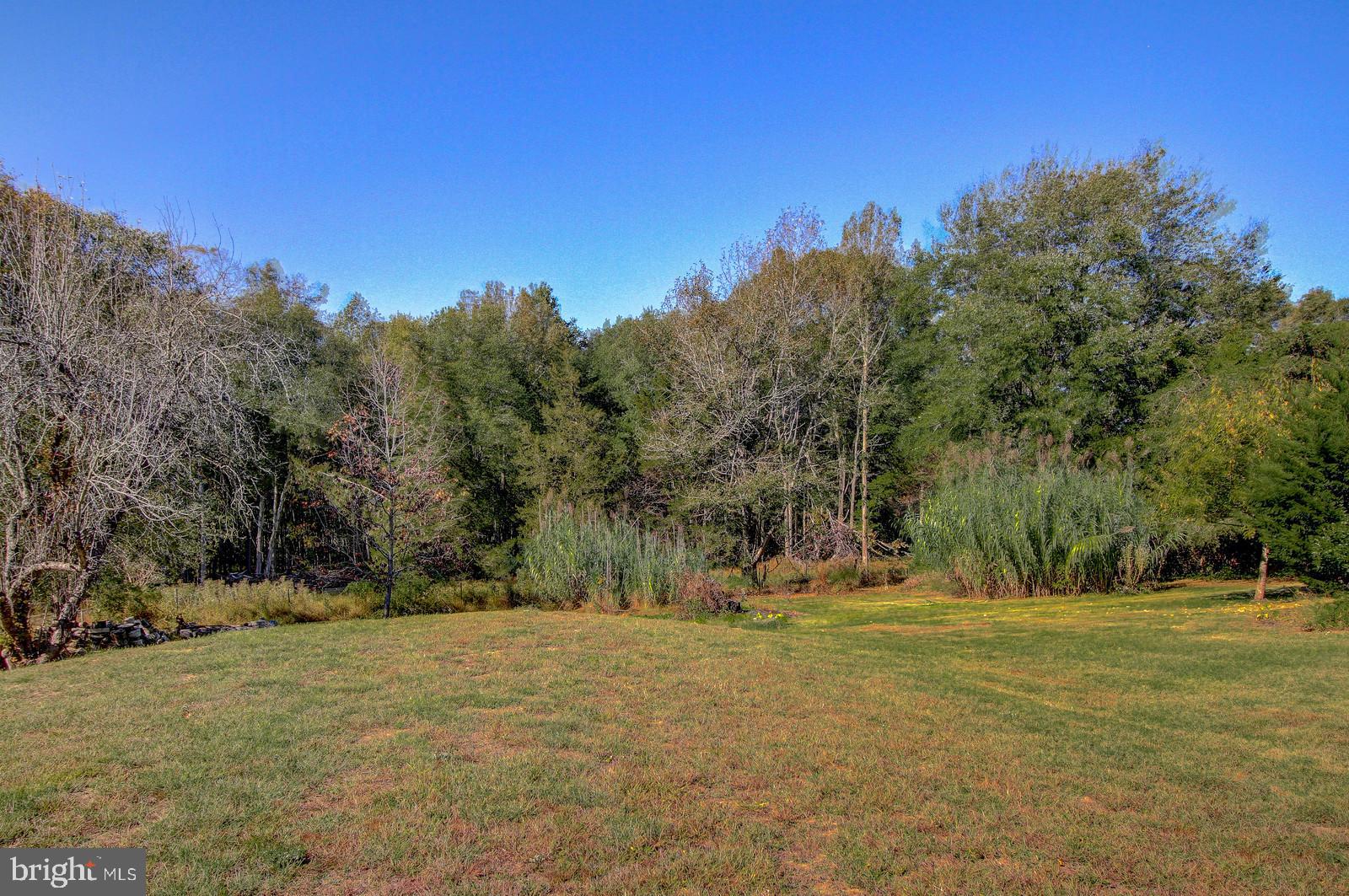 331 Juliustown Road Columbus, NJ 08022 - Photo 25 of 26 a view of a field with trees