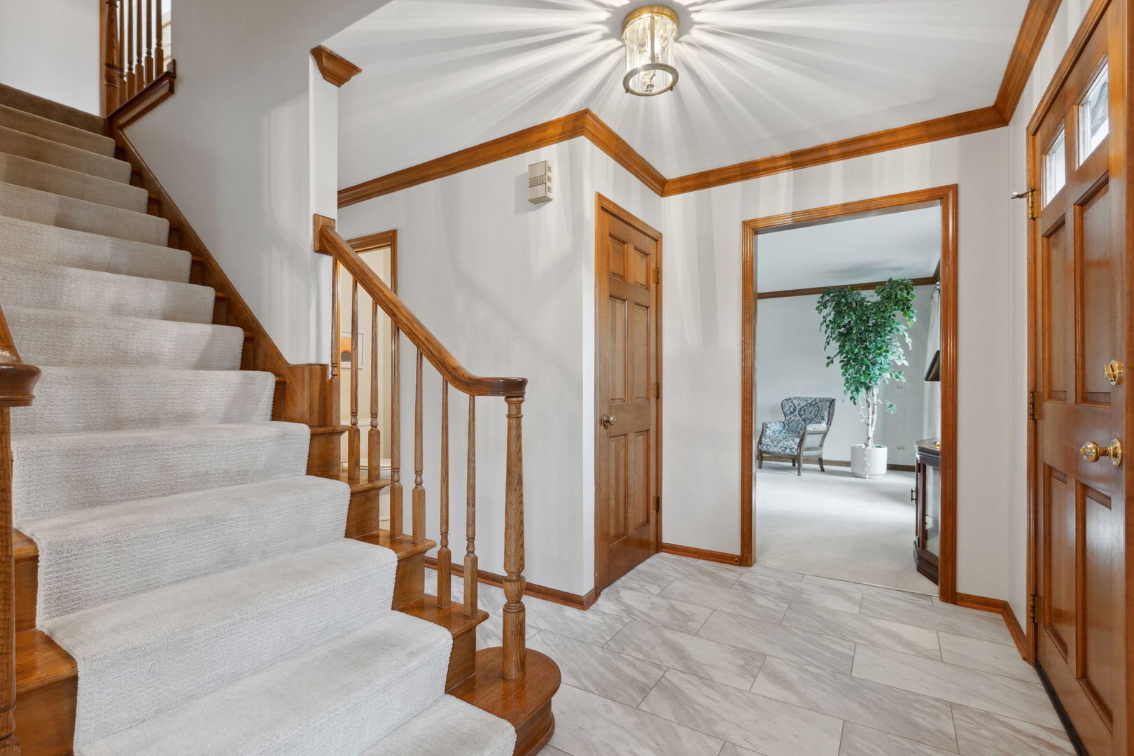 976 Hidden Lake Road Naperville, IL 60565 - Photo 3 of 18