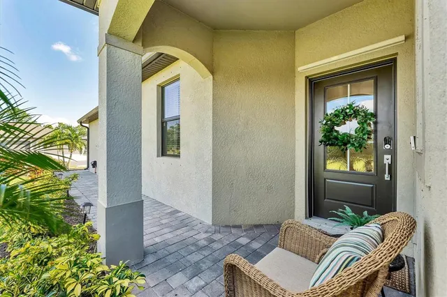 a living room with a couch and a potted plant