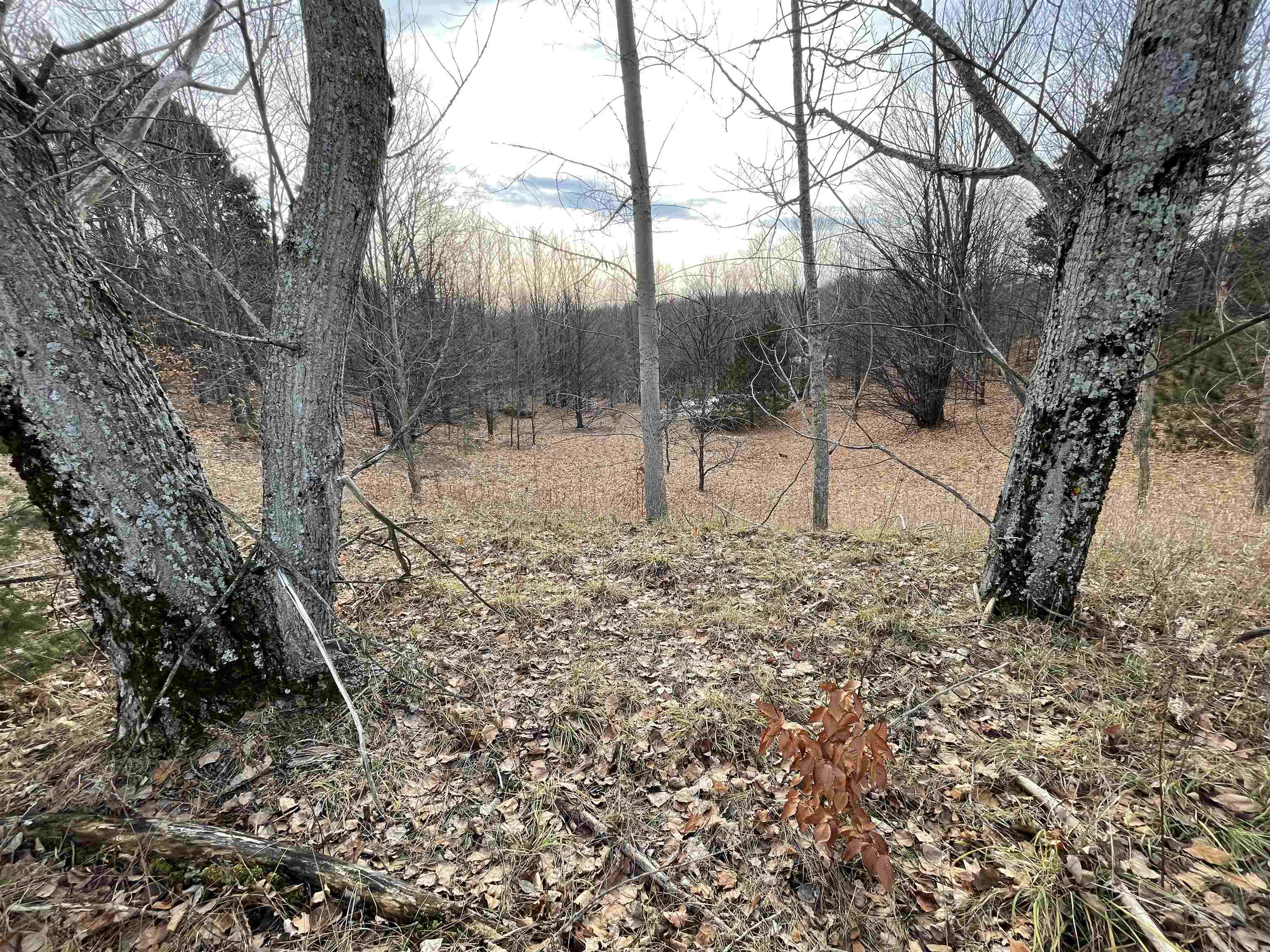 7953 South Shimek Road Maple City, MI 49664 - Photo 26 of 26
