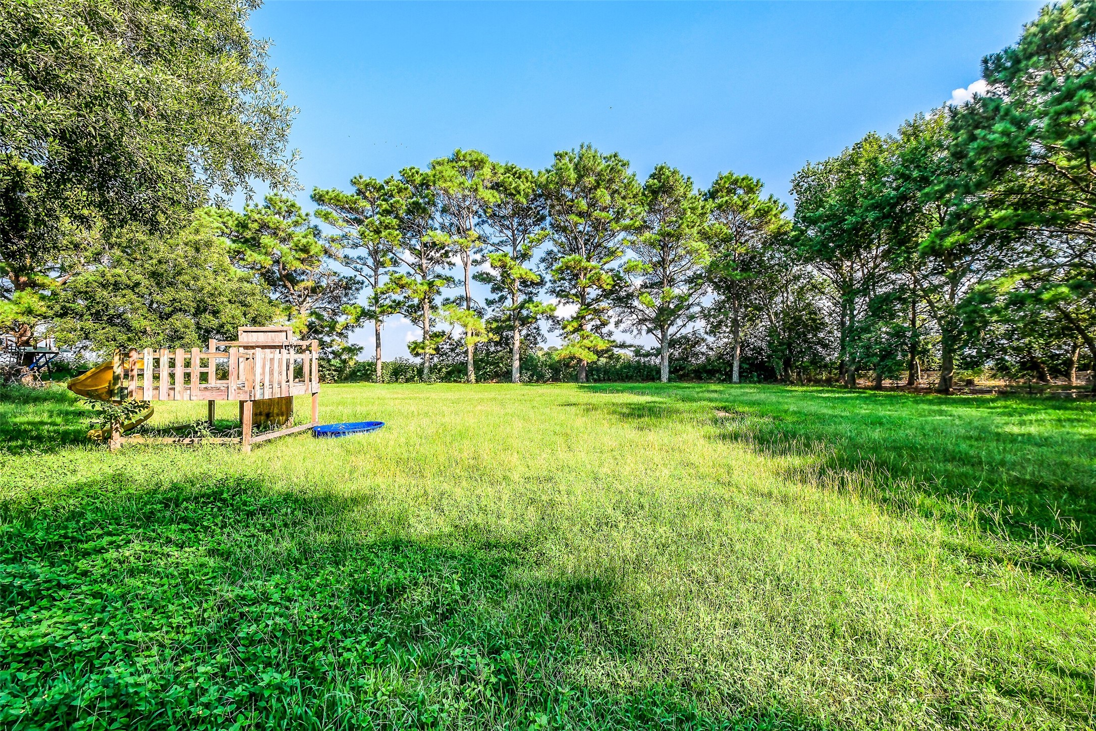 9503 Cardinal Road Beasley, TX 77417 - Photo 2 of 27 a view of a garden with a house in the background
