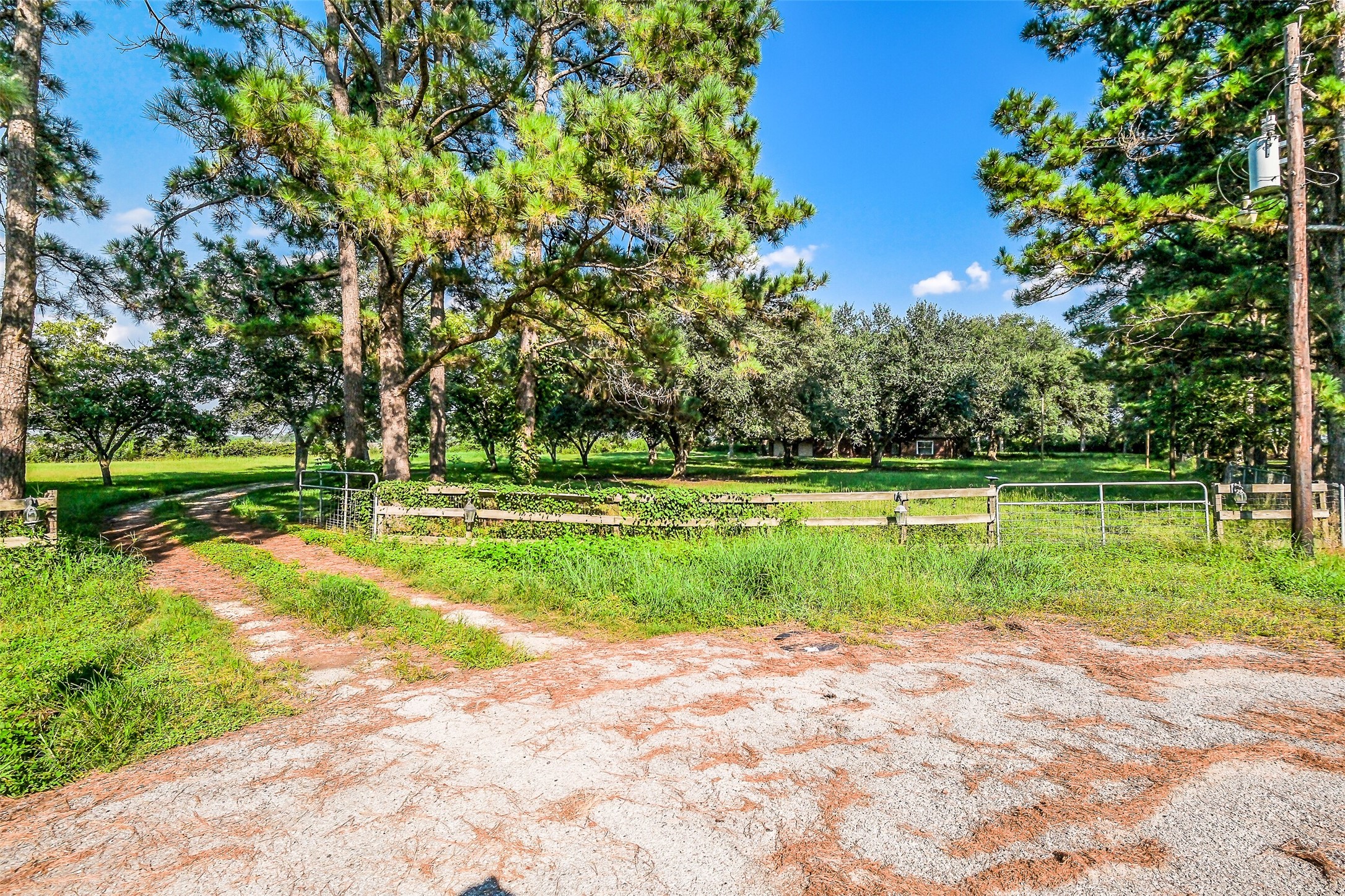 9503 Cardinal Road Beasley, TX 77417 - Photo 23 of 27 a view of a park with large trees