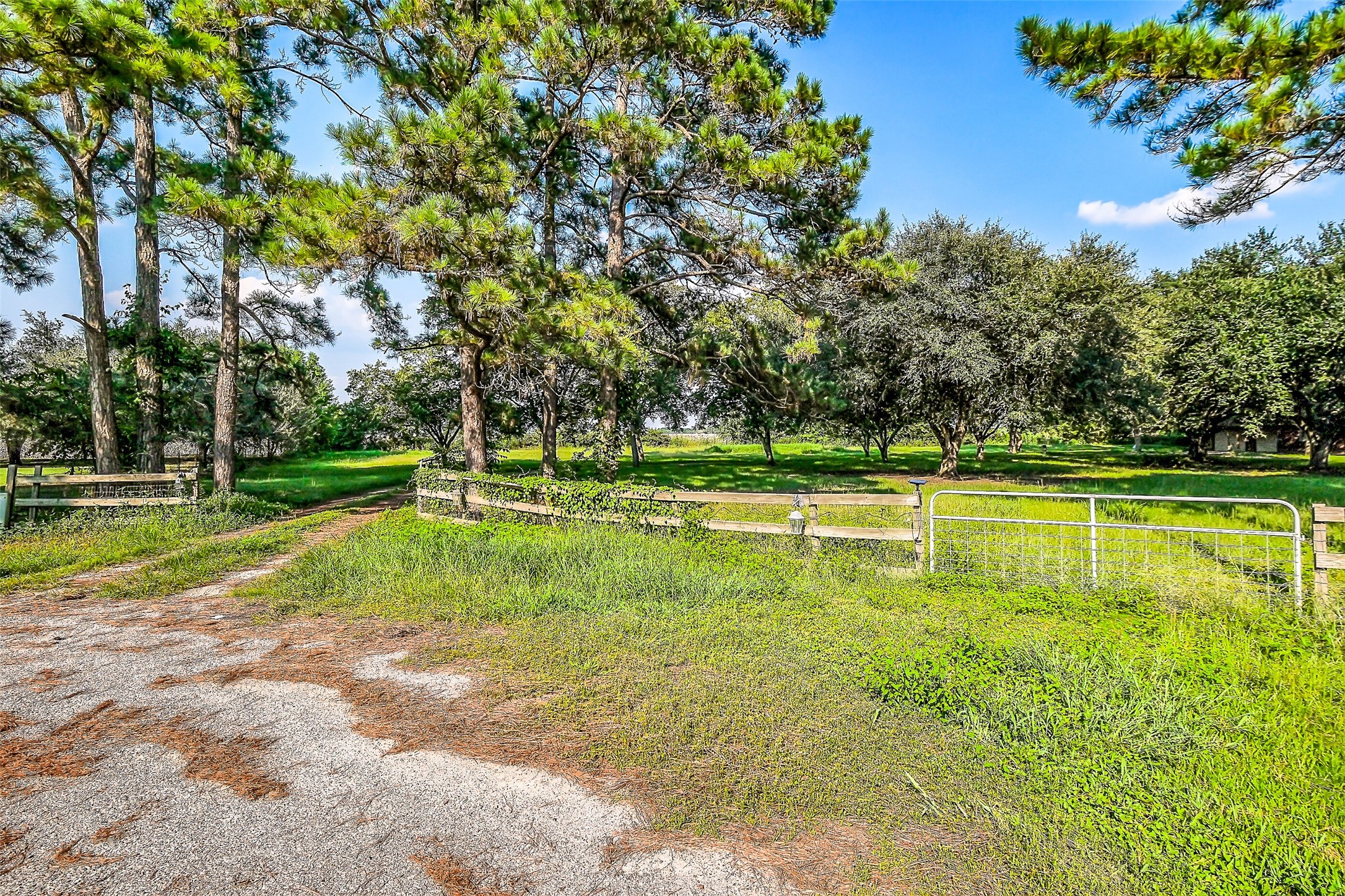 9503 Cardinal Road Beasley, TX 77417 - Photo 24 of 27 a view of a swimming pool with a yard