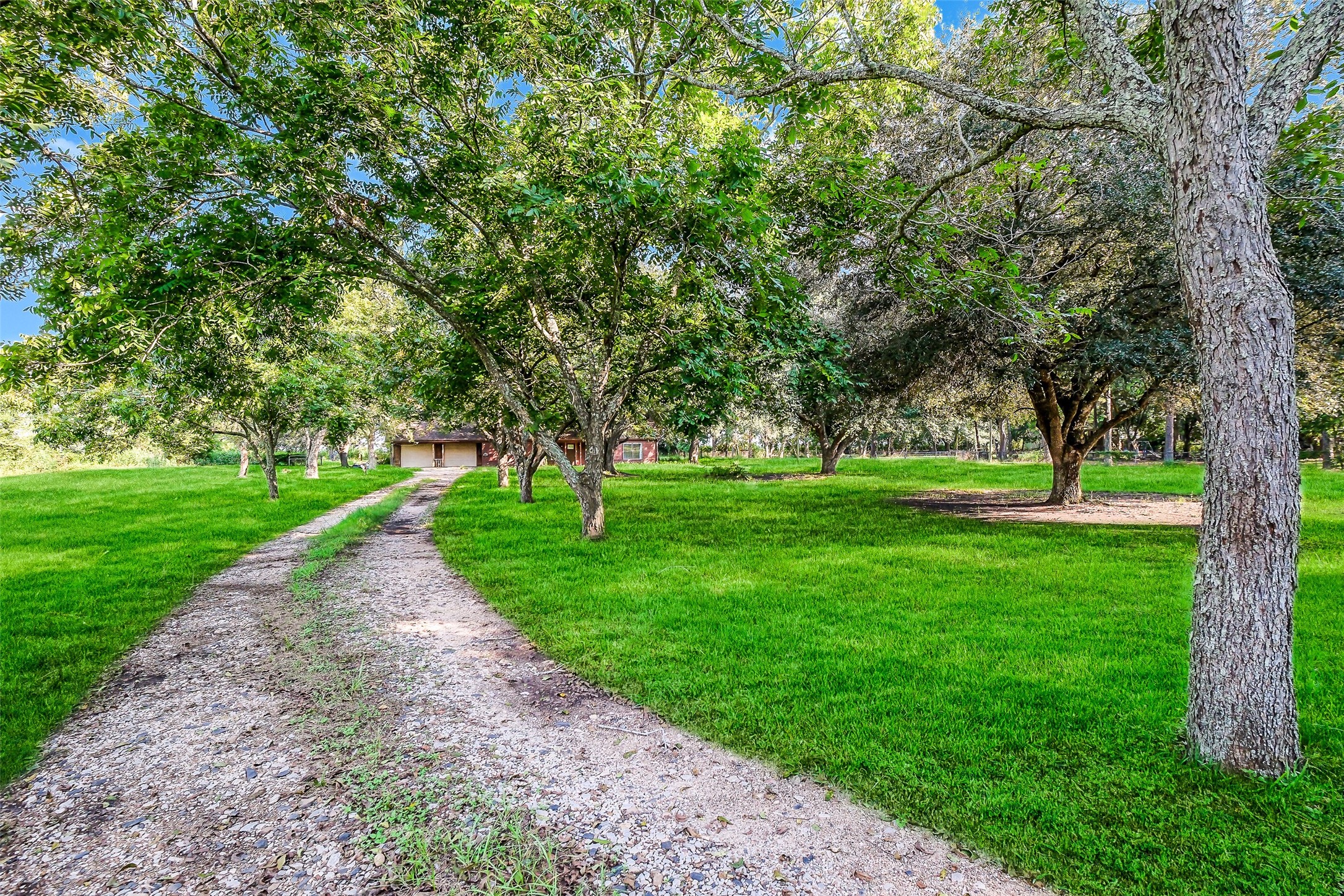 9503 Cardinal Road Beasley, TX 77417 - Photo 26 of 27 a huge green field with lots of trees