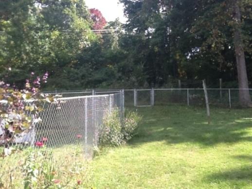 2361 Blue Bend Road Rocky Mount, VA 24151 - Photo 20 of 25 18 Part of Back Yard