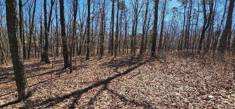 0 Bluff View Drive West Dunlap, TN 37327 - Photo 12 of 13