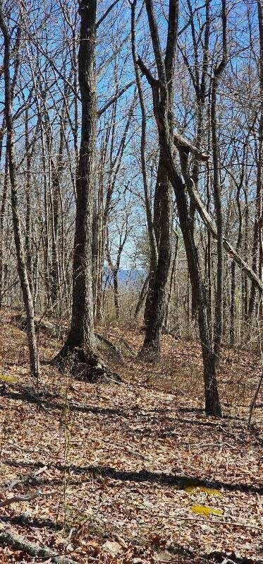 0 Bluff View Drive West Dunlap, TN 37327 - Photo 13 of 13