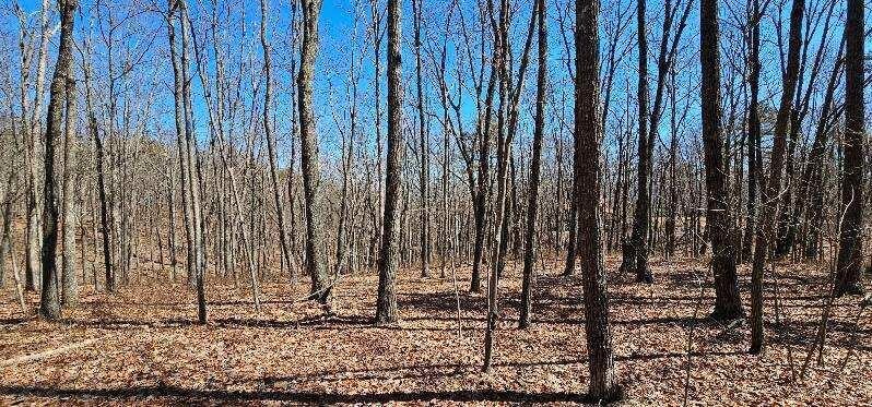 0 Bluff View Drive West Dunlap, TN 37327 - Photo 2 of 13