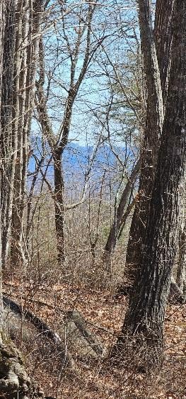 0 Bluff View Drive West Dunlap, TN 37327 - Photo 3 of 13