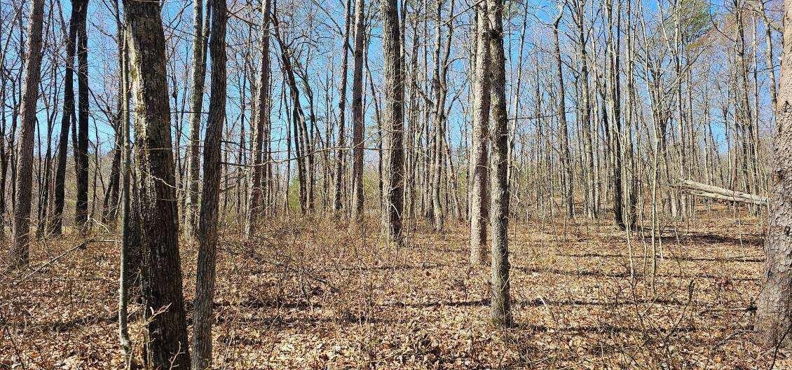 0 Bluff View Drive West Dunlap, TN 37327 - Photo 4 of 13