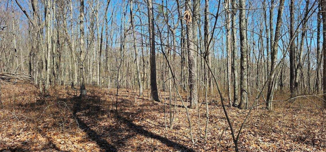 0 Bluff View Drive West Dunlap, TN 37327 - Photo 5 of 13