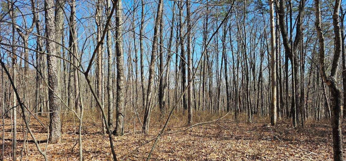 0 Bluff View Drive West Dunlap, TN 37327 - Photo 6 of 13