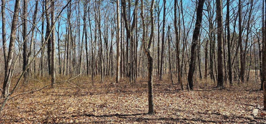 0 Bluff View Drive West Dunlap, TN 37327 - Photo 7 of 13