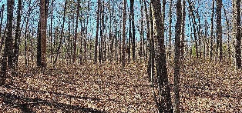 0 Bluff View Drive West Dunlap, TN 37327 - Photo 8 of 13