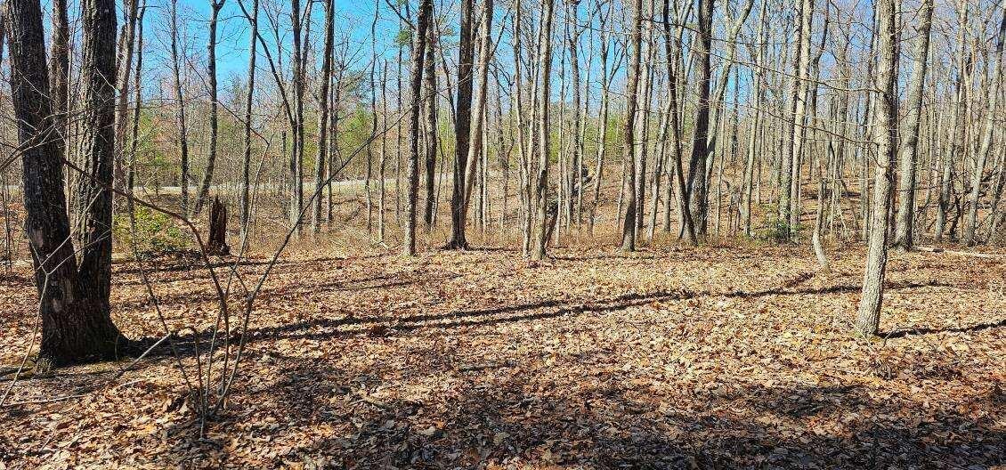 0 Bluff View Drive West Dunlap, TN 37327 - Photo 9 of 13