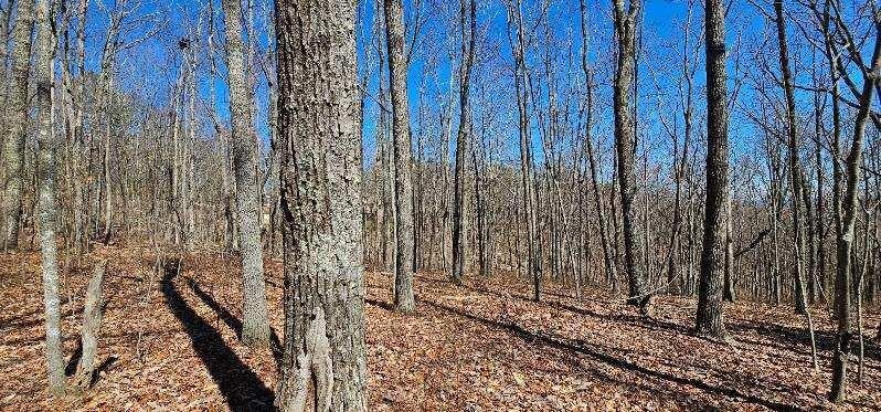 0 Bluff View Drive West Dunlap, TN 37327 - Photo 10 of 13