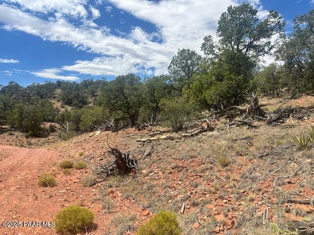 1020 Duffis Bluff Road Seligman, AZ 86337 - Photo 11 of 18 IMG_9662