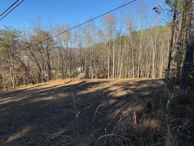 22 Moon Circle Spring City, TN 37381 - Photo 2 of 7 a view of outdoor space with a street