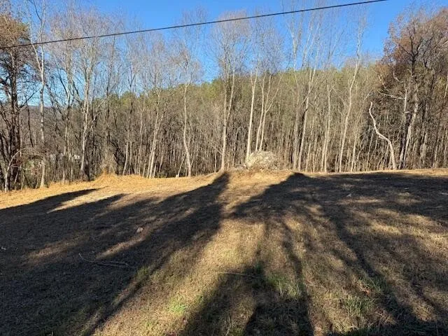a view of a yard with a wooden fence