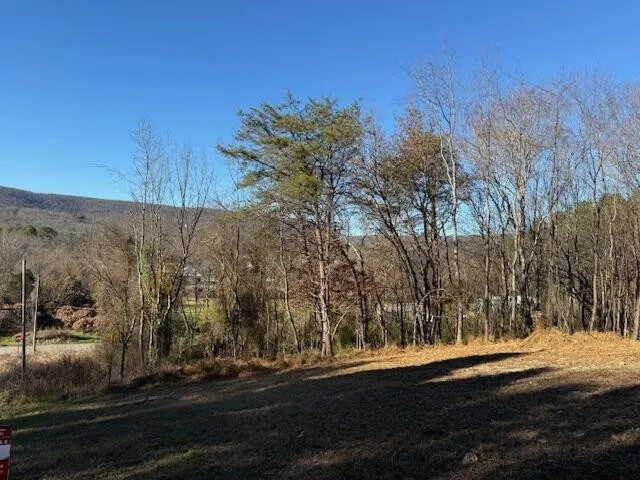 a view of a yard with wooden fence