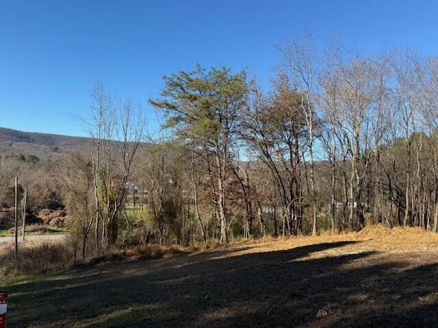 22 Moon Circle Spring City, TN 37381 - Photo 4 of 7 a view of a yard with wooden fence