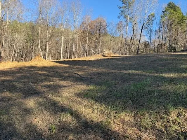 a view of dirt yard with a large tree