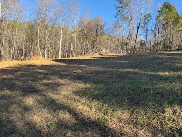 22 Moon Circle Spring City, TN 37381 - Photo 6 of 7 a view of road with large trees
